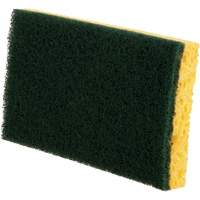 &eacute;ponges utilitaires, Cellulose, 6" la x 3-1/2" l Cantin et fils