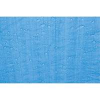 Tarp, Standard Duty, Blue, 7' x 5' x 4 mils Cantin et fils