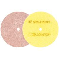 Quick-Step Instant Polish Discs, 5" Dia. Cantin et fils