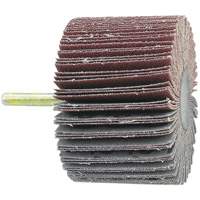 Shaft Mounted Flapwheel, 60 Grit, 1-1/2" x 1/4" Cantin et fils