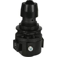 Wilkerson Regulator R26, 3/8" NPT, 300 psi Max. PSI, Standard Cantin et fils