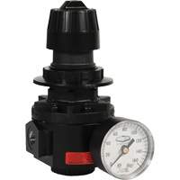 Wilkerson Regulator R26, 1/2" NPT, 300 psi Max. PSI, Standard Cantin et fils