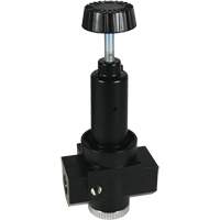 Wilkerson High Flow Regulator R30, 3/4" NPT, 300 psi Max. PSI, Standard Cantin et fils