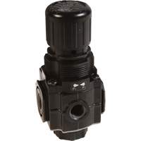 Series 1 Manifold Regulator, 1/4" NPT, 150 PSI Max. PSI, Standard Cantin et fils
