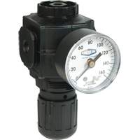 Filters, Regulators & Lubricators