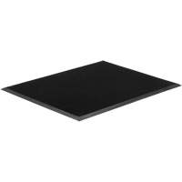 Gritstop Fingermat Matting, Rubber, Scraper Type, Textured Pattern, 2' x 2-2/3', Black Cantin et fils