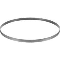 Cordless Band Saw Blade, Bi-Metal, 32-7/8" L x 0.02" Thick, 14-18 TPI Cantin et fils