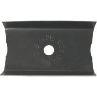 2-1/2" Paint Scraper Cantin et fils