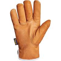 Endura&reg; Gloves, Large, Synthetic Palm, Thinsulate Inner Lining Cantin et fils
