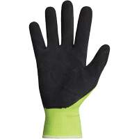 Dexterity&reg; Coated Gloves, 10, Latex Coating, 13 Gauge, Polyester Shell Cantin et fils