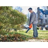 Leaf Blower, 180 MPH Output, Electric Cantin et fils