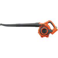 Max* Cordless Sweeper/Vacuum Kit, 40 V, 120 MPH Output, Battery Powered Cantin et fils