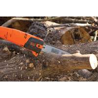 9-1/2' Pole Saw Cantin et fils