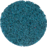 Scotch-Brite Roloc Surface Conditioning Disc, 1" Dia. Cantin et fils