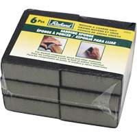 Wet and Dry Sanding Sponges Cantin et fils