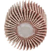 Flap Disc 747D, Aluminum Oxide/Ceramic, 80 Grit, 1" x 1" x 1/4" Cantin et fils