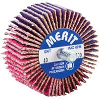 Threaded Mini Flap Wheel, Ceramic Alumina, 40 Grit, 2" x 1" x 1/4"-20 Cantin et fils
