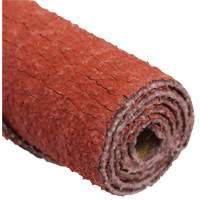 Standard Abrasives Straight Cartridge Roll Cantin et fils
