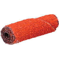 Rouleau de cartouche Blaze R920, 60 Grain, 3/8" dia., C&eacute;ramique d'alumine, 1-1/2" lo, 1/8" Dimension de l'arbre Cantin et fils