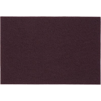Tampons manuels Bear-Tex, Oxyde d'aluminium, 6" x 9", Grain Tr&egrave;s fin Cantin et fils