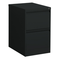 Vertical Filing Cabinet, Steel, 2 Drawers, 18-1/7" W x 25" D x 29" H, Black Cantin et fils