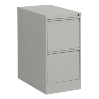 Vertical Filing Cabinet, Steel, 2 Drawers, 15-1/7" W x 25" D x 29" H, Grey Cantin et fils