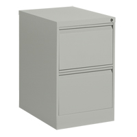 Vertical Filing Cabinet, Steel, 2 Drawers, 18-1/7" W x 25" D x 29" H, Grey Cantin et fils