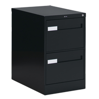 Vertical Filing Cabinet with Recessed Drawer Handles, 2 Drawers, 18.15" W x 26.56" D x 29" H, Black Cantin et fils