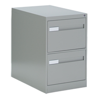 Vertical Filing Cabinet with Recessed Drawer Handles, 2 Drawers, 18.15" W x 26.56" D x 29" H, Grey Cantin et fils