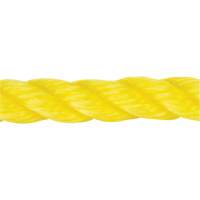 Braided Yellow Rope, Polypropylene, 144' Cantin et fils