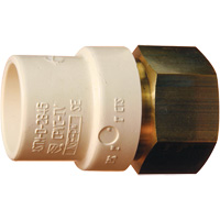 Adaptateur de tuyau filet&eacute;, Noeud x FPT, 1" dia., Laiton/PVC-C Cantin et fils