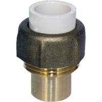 Raccord union, 1/2", PVC-C, Embout femelle x bras&eacute; Cantin et fils