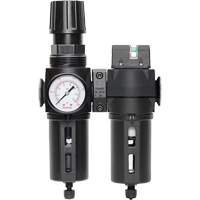 Manual Drain Filter, Regulator & Coalescing Filter with Standard Bowl Modulair 300, 1/4" NPT, 150 PSI, 5.1 fl. oz. Capacity Cantin et fils