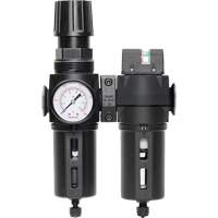 Filter/Regulator & Coalescing Filter Modulair 300 with Standard Bowl & Manual Drain, 3/8" NPTF, 150 PSI, 5.12 fl. oz. Capacity Cantin et fils