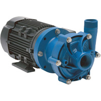 Magnetic Drive Pump with Carbon Bushing Cantin et fils
