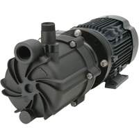 Self-Priming Magnetic Drive Pump with Carbon Bushing Cantin et fils