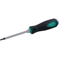 Torx&reg; Screwdriver Cantin et fils