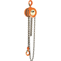 Chain Hoist, 10' Lift, 1000 lbs. (0.5 tons) Capacity, Steel Chain Cantin et fils