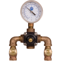Emergency Eyewash & Shower Water Blending Systems