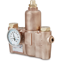 Thermostatic Mixing Valves, 19.5 GPM Cantin et fils
