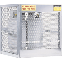 Aluminum LPG Cylinder Locker Storage, 4 Cylinder Capacity, 30" W x 32" D x 33-1/2" H, Silver Cantin et fils