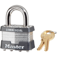 Cadenas lamin&eacute;, Argent, Cl&eacute;s identiques, Acier lamin&eacute;, Largeur de 1-3/4" Cantin et fils