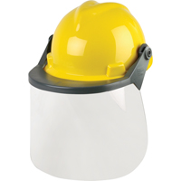 Ensembles de protection de la t&ecirc;te & du visage Cantin et fils