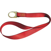 Sangles PointGuardpour raccord d'ancrage, Anneau en D, Usage Temporaire Cantin et fils
