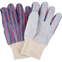 Gants de travail d'usage standard, Grand, Paume en Cuir de vache refendu Cantin et fils