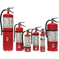 Fire Extinguisher, ABC, 30 lbs. Capacity Cantin et fils