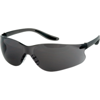 Lunettes de sécurité