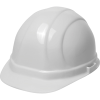 ERB Casque de s&eacute;curit&eacute; Omega II, R&eacute;pond aux normes CSA type 2, Suspension Glissement rapide, Non ventil&eacute; Cantin et fils