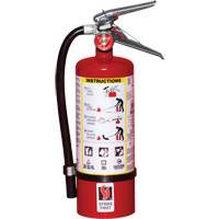 Fire Extinguisher, ABC, 5 lbs. Capacity Cantin et fils