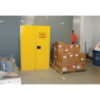 Armoire pour produits inflammables, 45 gal., 2 Porte(s), 43" La x 65" h x 18" p Cantin et fils